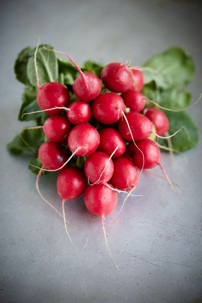abel and cole radishes